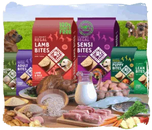 Confezioni di mangime Regal esposte accanto a carne e verdure fresche