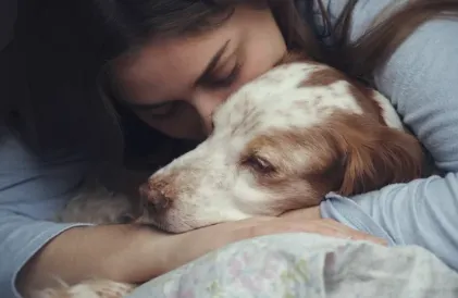 trattamenti di anestesia veterinaria