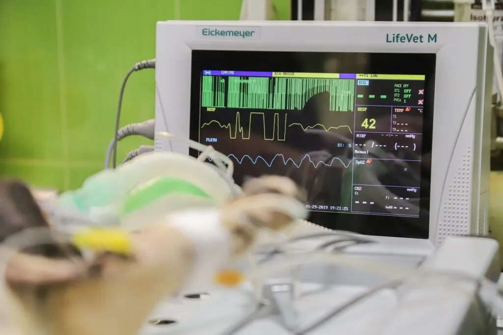monitoraggio di cardiologia veterinaria