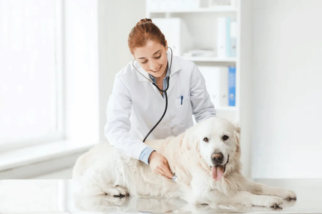 esame giardia cane