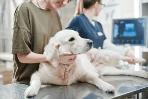giardia test