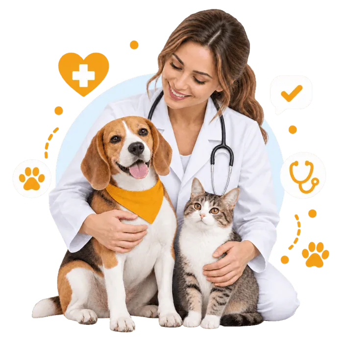veterinario roma richiesta